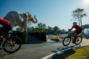 BIB: 
                            <button type="button" onclick="openModal(26182977)" class="btn btn-primary btn-sm float-right btn-popup" data-toggle="modal" data-target=".modal-high-quality">
                        <i class="fas fa-shopping-cart"></i> Add to Cart
                    </button>
                                            <button type="button" onclick="isThisMe(26182977, true)" class="btn btn-success btn-sm float-right btn-popup btn-isme hidden" data-toggle="tooltip" data-placement="bottom" title="นี่คือรูปของคุณใช่ไหม คลิกที่นี่เพื่อเอาเข้าอัลบั้ม">
                        <i class="fas fa-plus"></i> Add to album
                    </button>
                    <button type="button" onclick="isThisMe(26182977, false)" class="btn btn-warning btn-sm float-right btn-popup btn-isnotme hidden">
                        <i class="fas fa-ban"></i> Remove from album
                    </button>